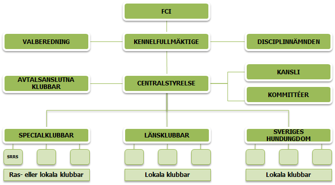 2. ORGANISATION 2.1. FÉDÉRATION CYNOLOGIQUE INTERNATIONALE (FCI) Fédération Cynologique Internationale (FCI) är en internationell kennelorganisation med cirka 85 anslutna nationella kennelklubbar.
