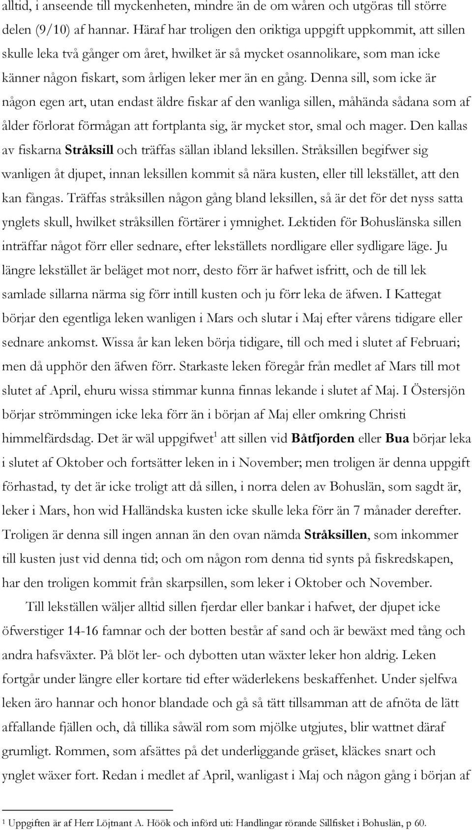 Denna sill, som icke är någon egen art, utan endast äldre fiskar af den wanliga sillen, måhända sådana som af ålder förlorat förmågan att fortplanta sig, är mycket stor, smal och mager.