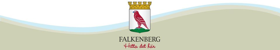 Hälsobokslut