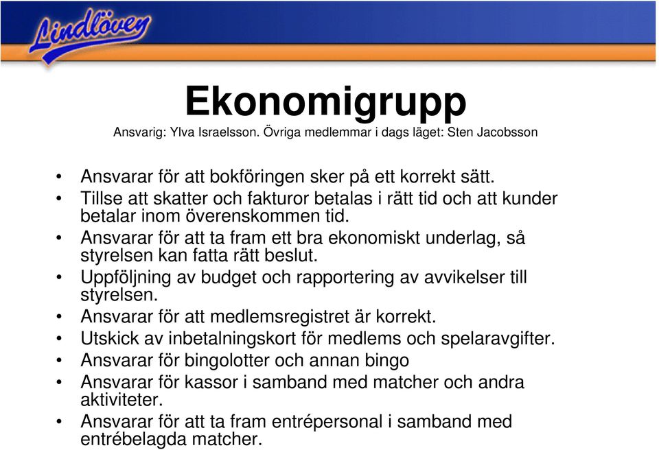 Ansvarar för att ta fram ett bra ekonomiskt underlag, så styrelsen kan fatta rätt beslut. Uppföljning av budget och rapportering av avvikelser till styrelsen.