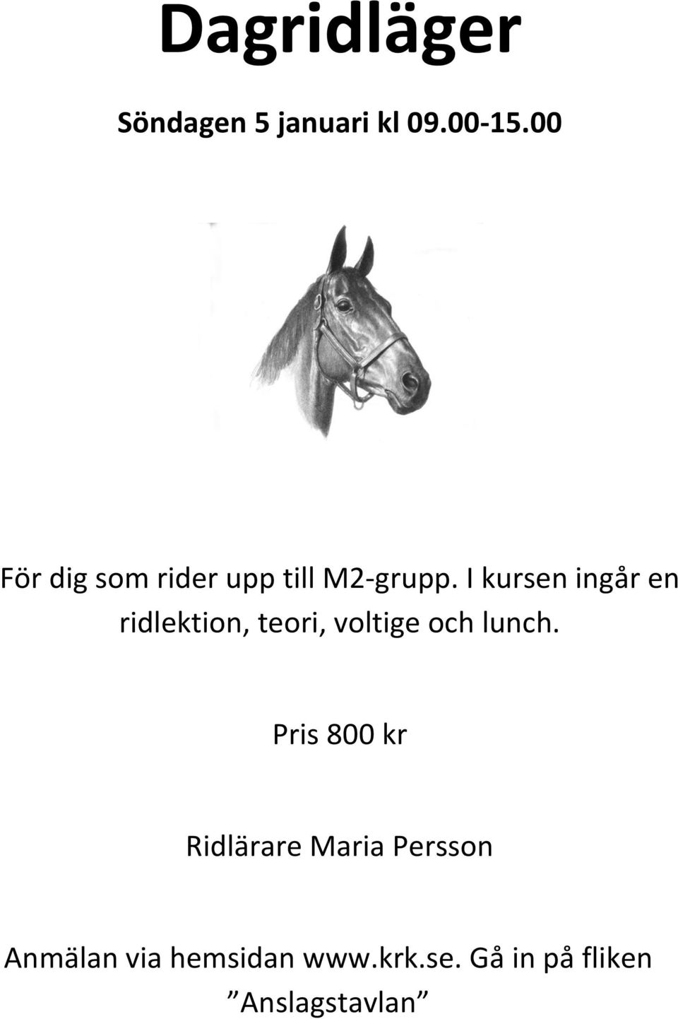 I kursen ingår en ridlektion, teori,