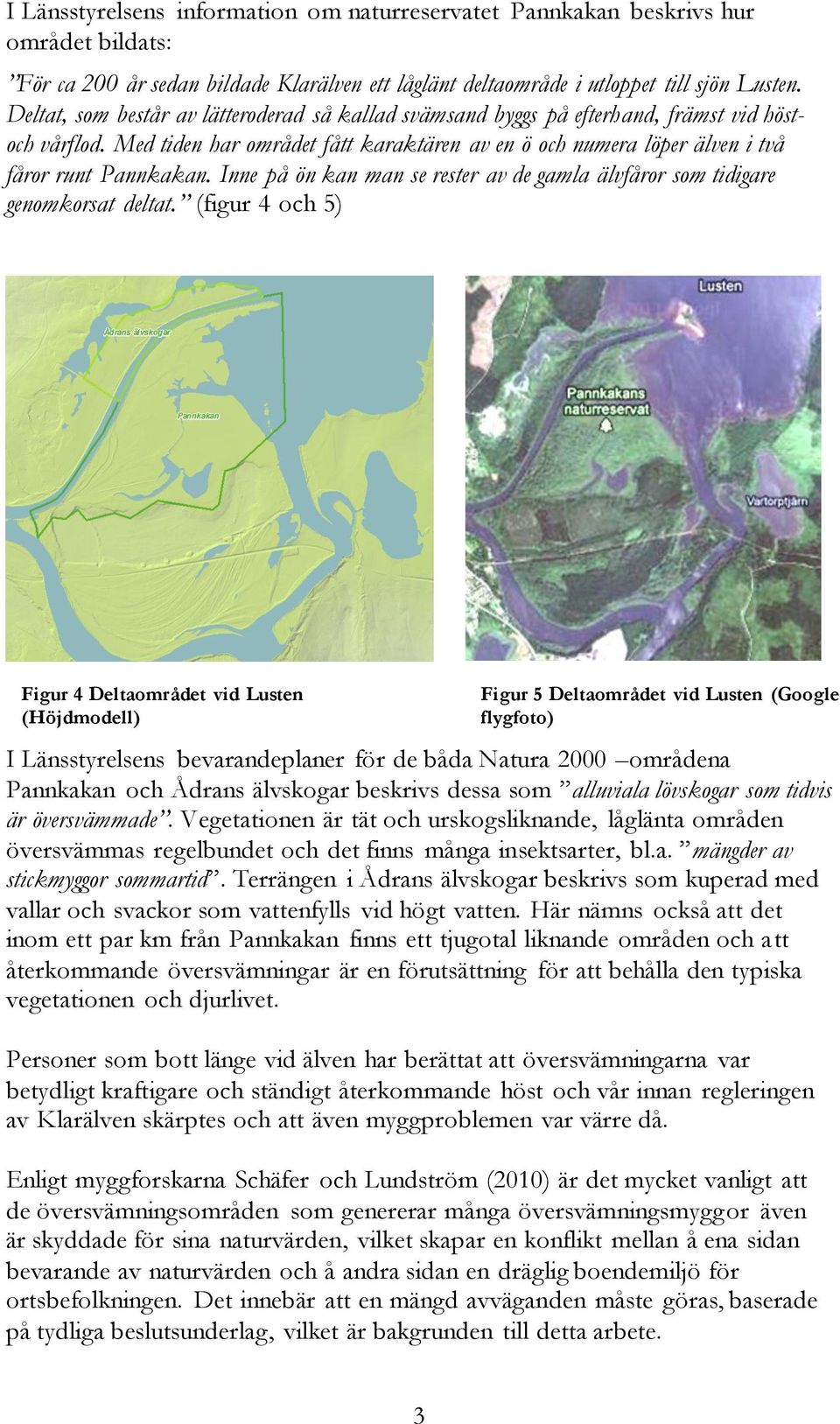 Inne på ön kan man se rester av de gamla älvfåror som tidigare genomkorsat deltat.