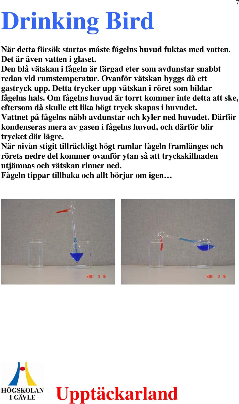 Om fågelns huvud är torrt kommer inte detta att ske, eftersom då skulle ett lika högt tryck skapas i huvudet. Vattnet på fågelns näbb avdunstar och kyler ned huvudet.