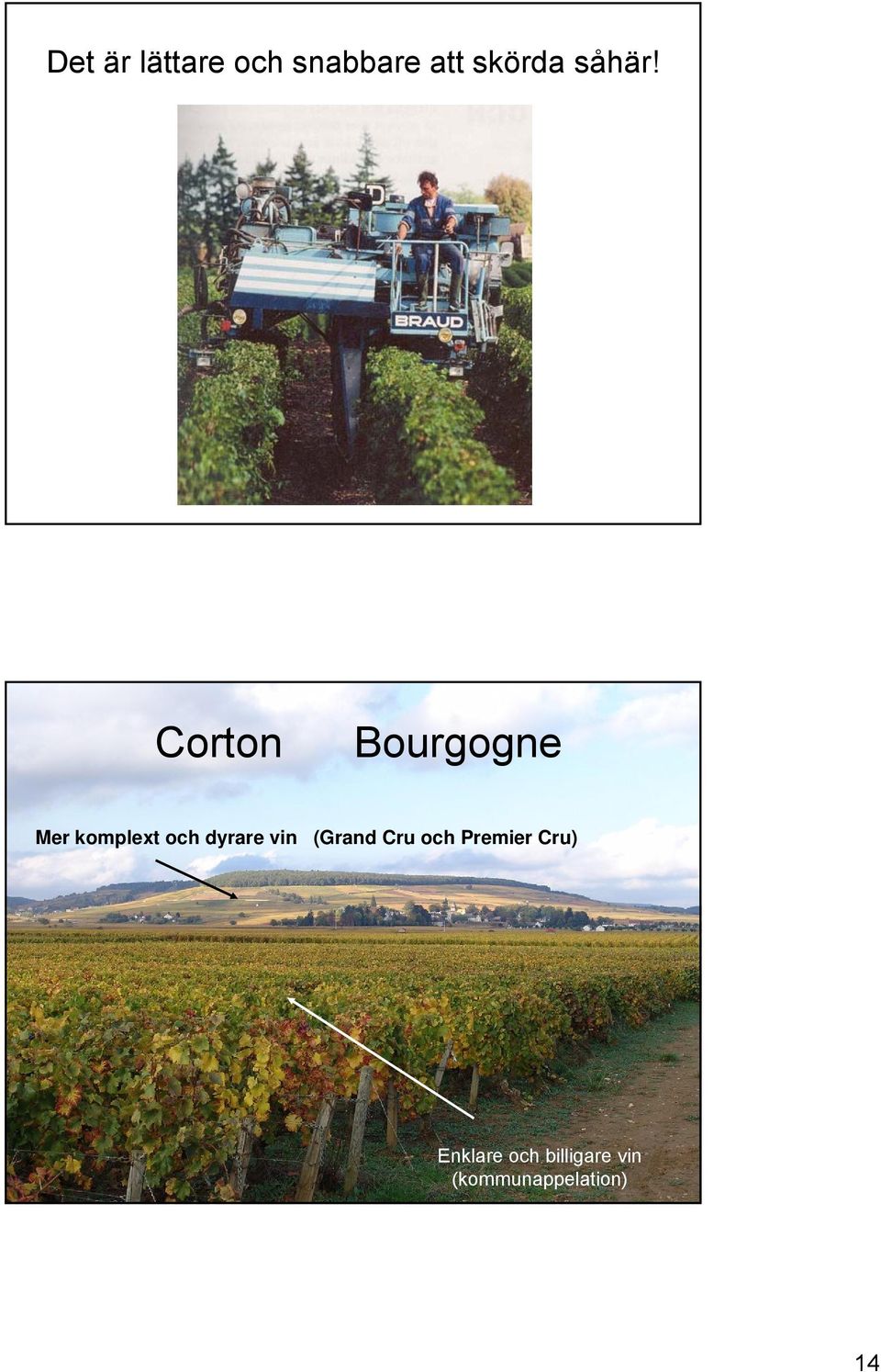 Corton Bourgogne Mer komplext och dyrare
