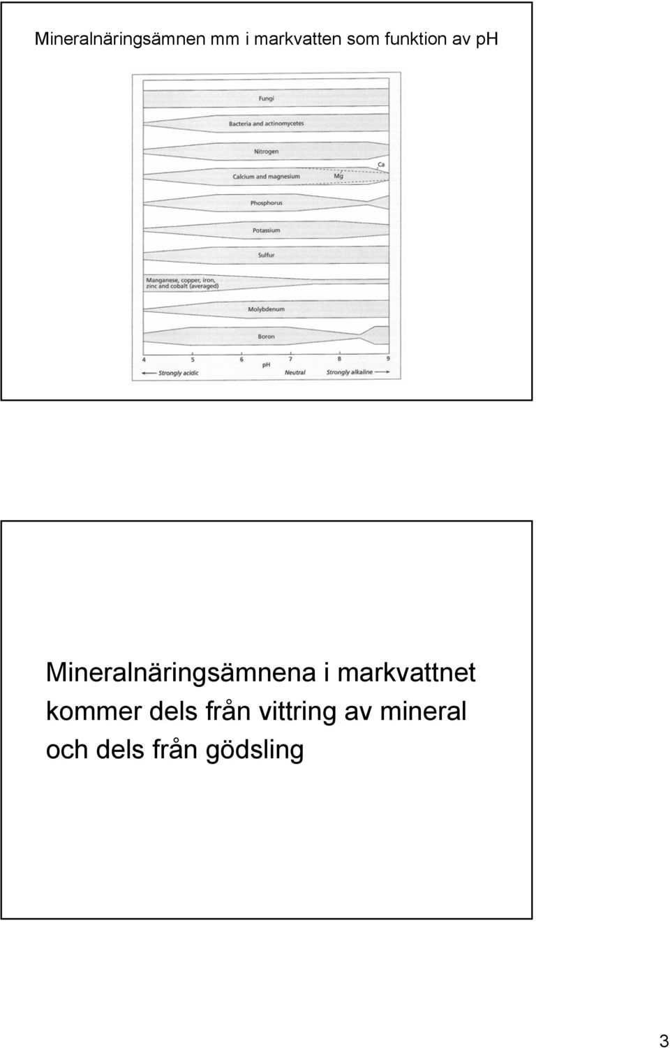 Mineralnäringsämnena i markvattnet