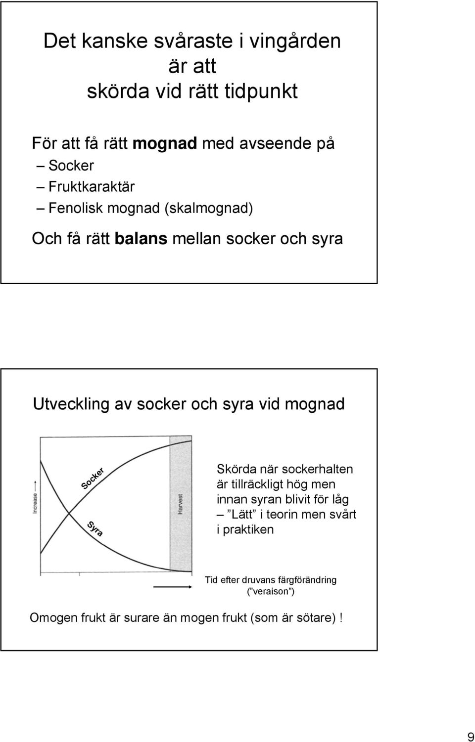 vid mognad Socker Syra Skörda när sockerhalten är tillräckligt hög men innan syran blivit för låg Lätt i teorin men