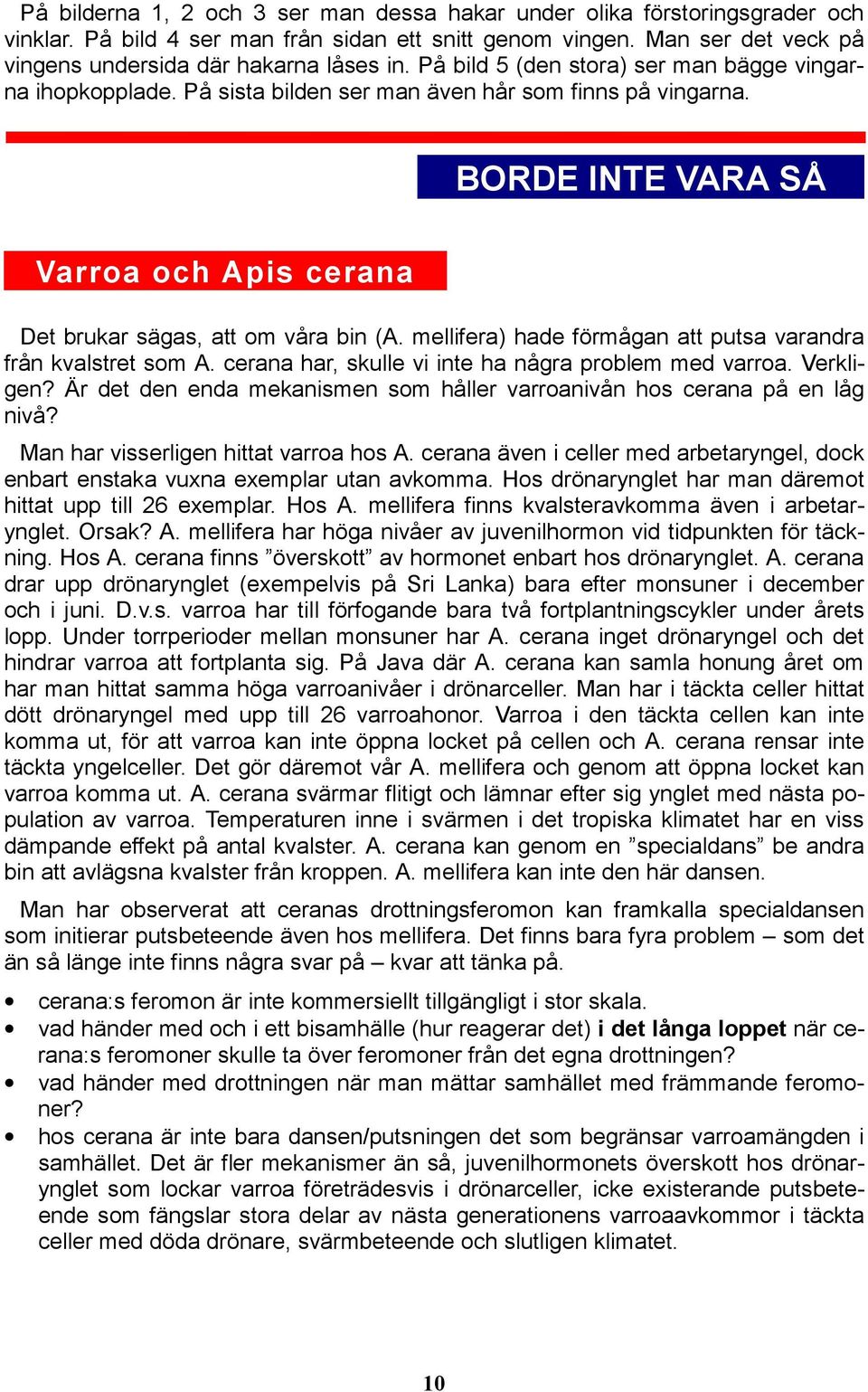 mellifera) hade förmågan att putsa varandra från kvalstret som A. cerana har, skulle vi inte ha några problem med varroa. Verkligen?