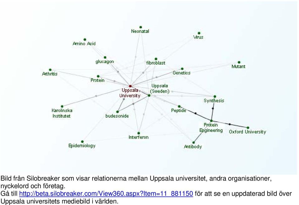 Gå till http://beta.silobreaker.com/view360.aspx?