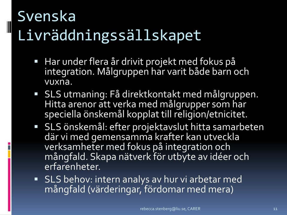 SLS önskemål: efter projektavslut hitta samarbeten där vi med gemensamma krafter kan utveckla verksamheter med fokus på integration och mångfald.