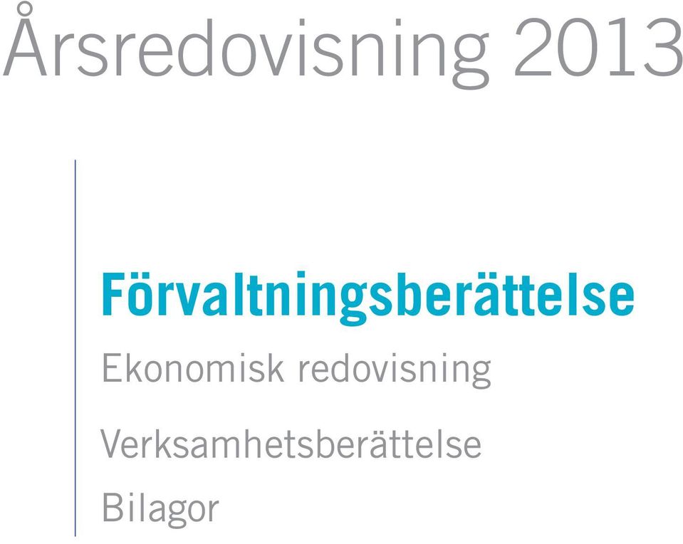 redovisning Verksamhetsberättelse