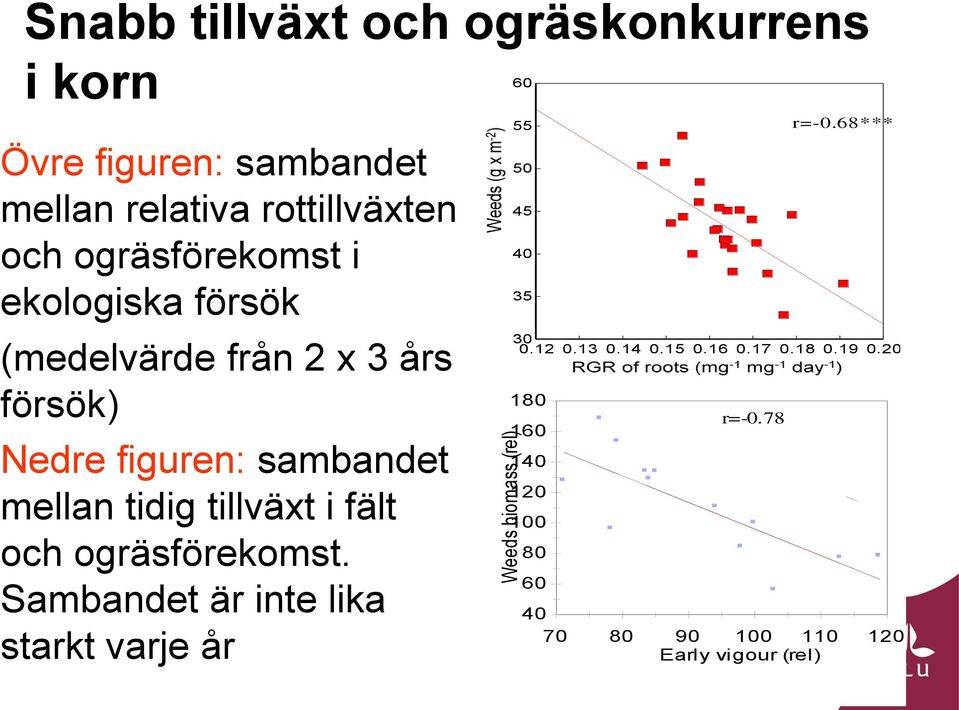 tillväxt i fält och ogräsförekomst. Sambandet är inte lika starkt varje år 60 55 50 45 40 35 30 0.12 0.13 0.14 0.