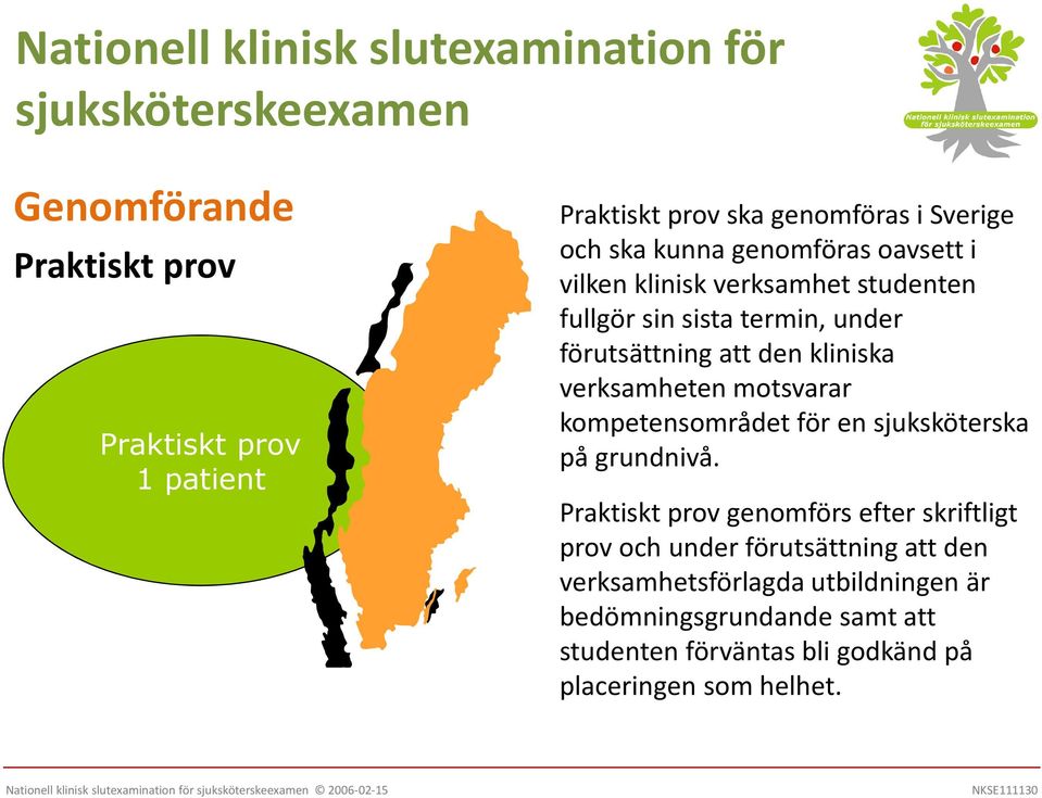 en sjuksköterska på grundnivå.