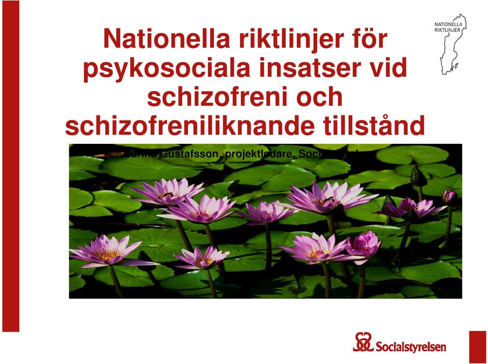 schizofreni och schizofreniliknande