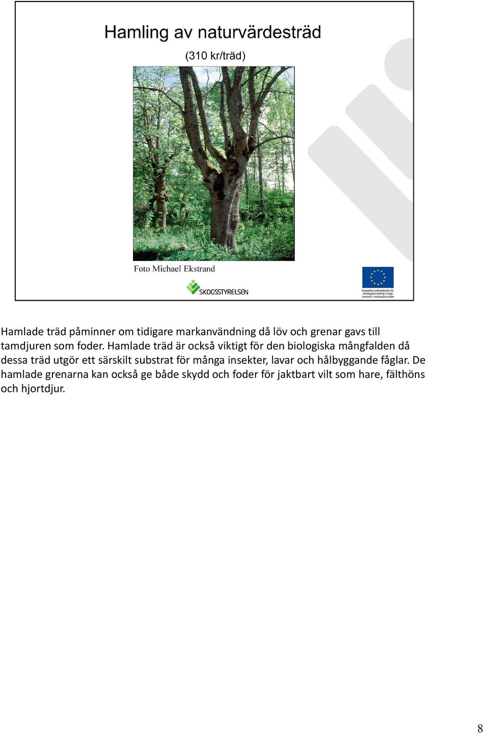 Hamlade träd är också viktigt för den biologiska mångfalden då dessa träd utgör ett