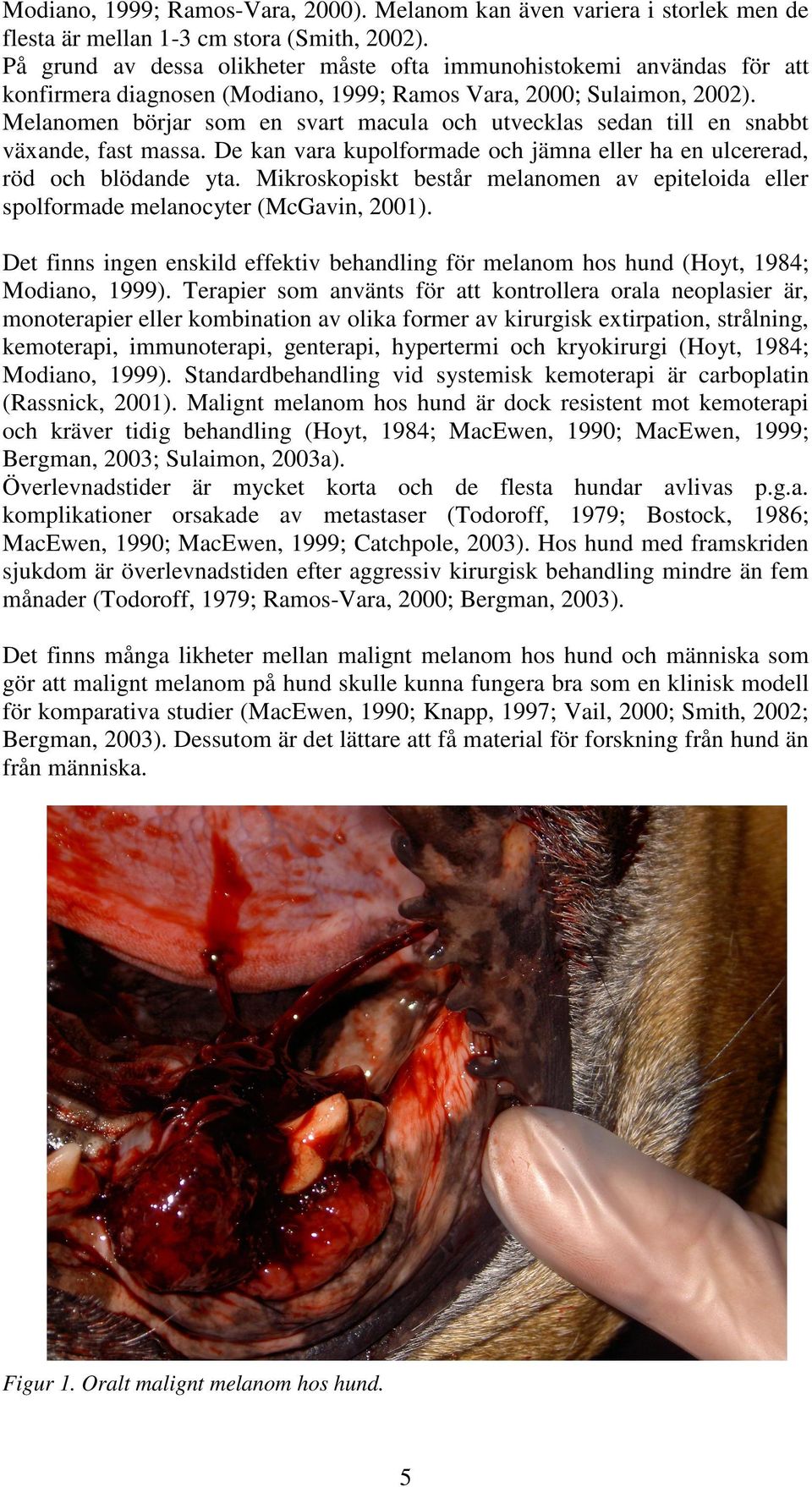 Melanomen börjar som en svart macula och utvecklas sedan till en snabbt växande, fast massa. De kan vara kupolformade och jämna eller ha en ulcererad, röd och blödande yta.