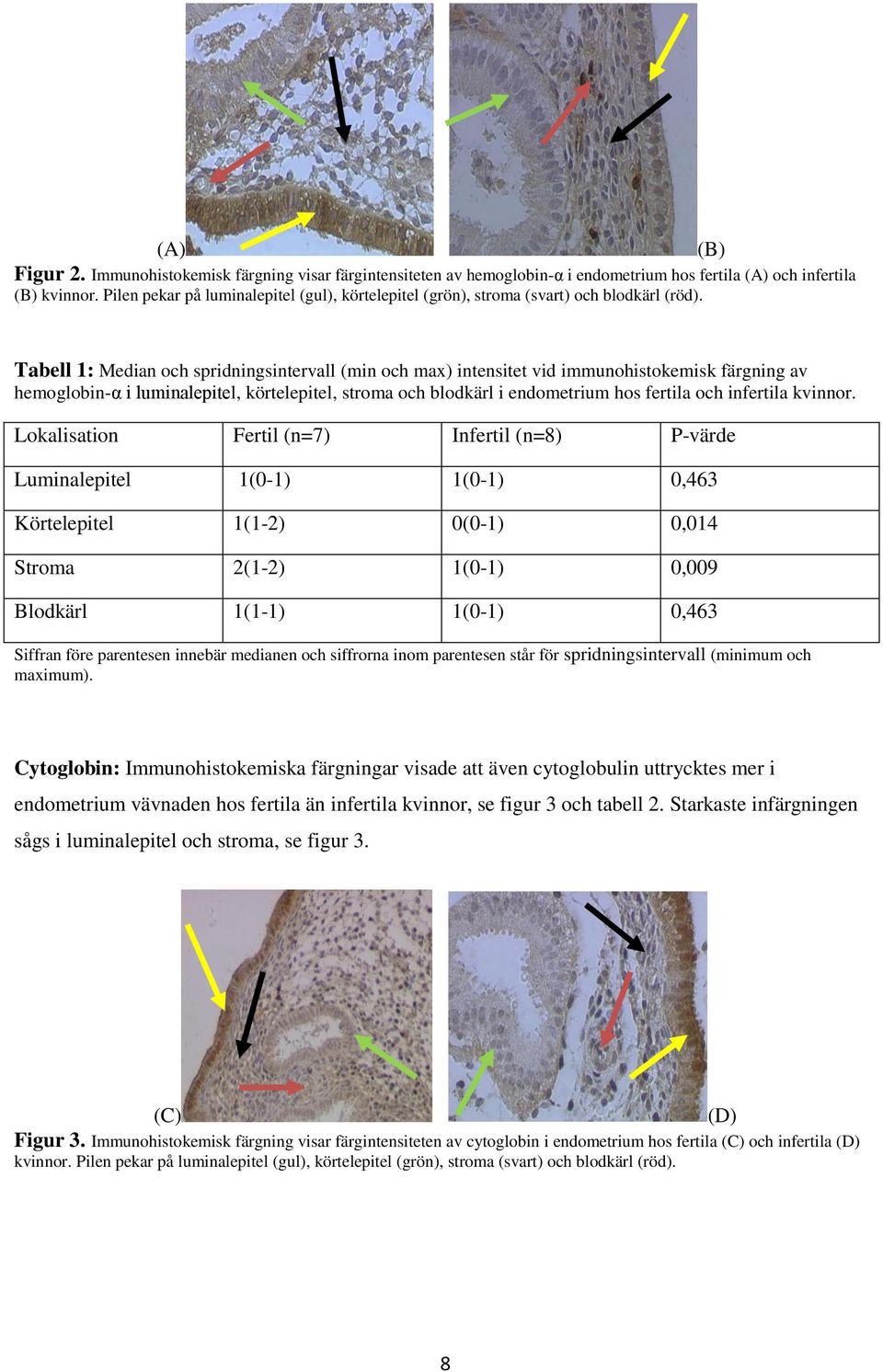 Tabell 1: Median och spridningsintervall (min och max) intensitet vid immunohistokemisk färgning av hemoglobin-α i luminalepitel, körtelepitel, stroma och blodkärl i endometrium hos fertila och