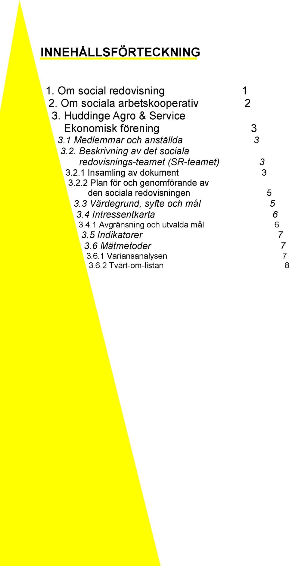 Beskrivning av det sociala redovisnings-teamet (SR-teamet) 3 3.2.