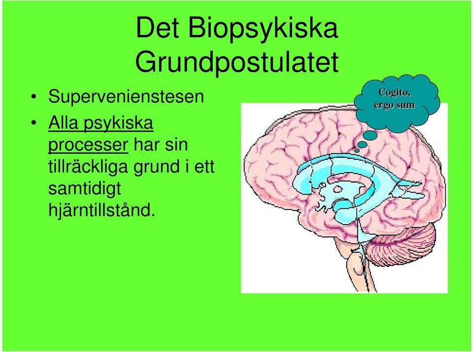 processer har sin tillräckliga grund