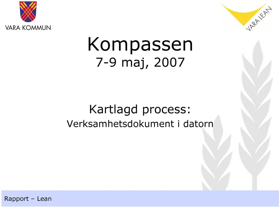 Kartlagd process: