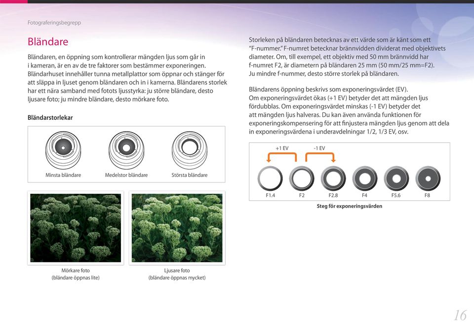 Bländarens storlek har ett nära samband med fotots ljusstyrka: ju större bländare, desto ljusare foto; ju mindre bländare, desto mörkare foto.