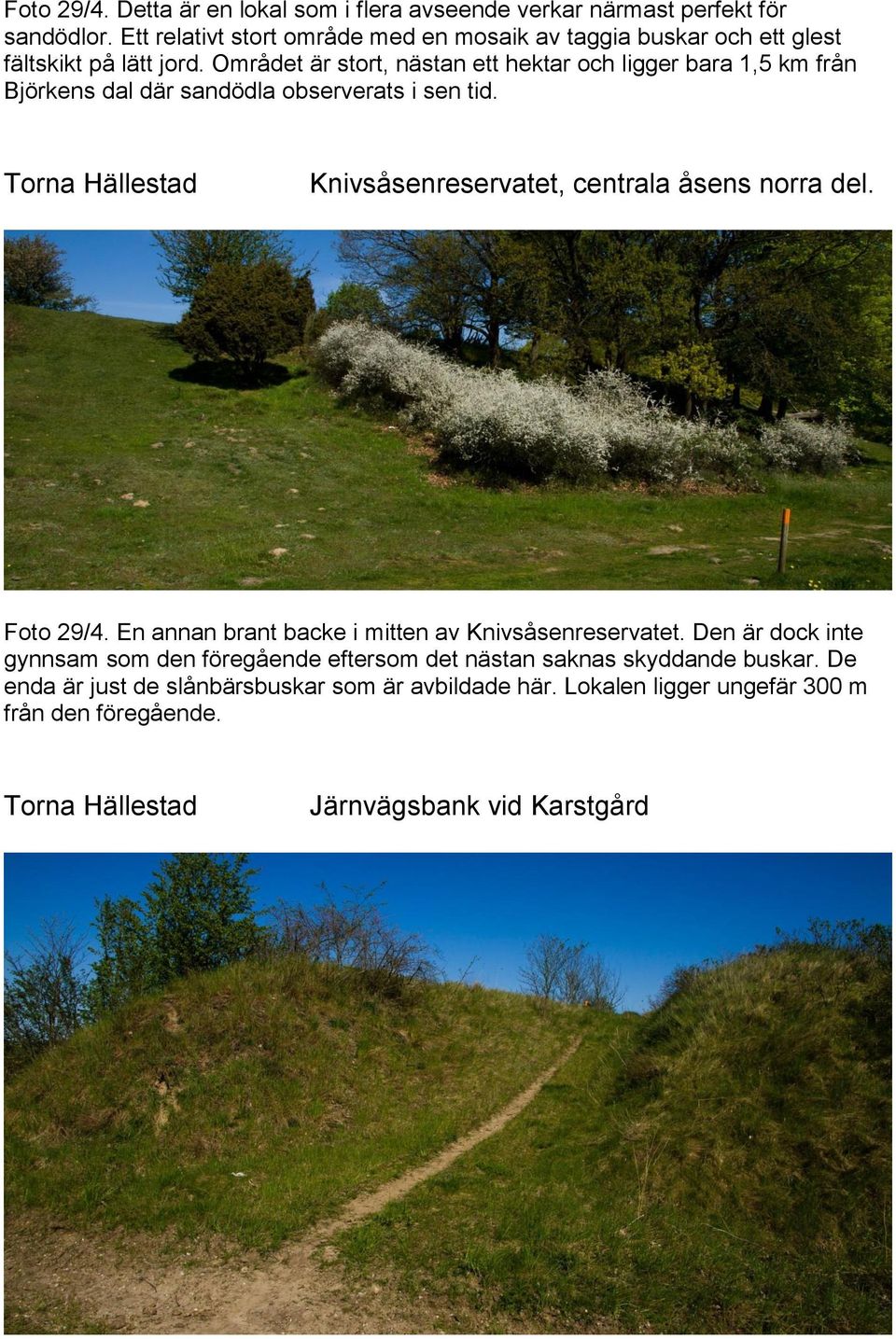 Området är stort, nästan ett hektar och ligger bara 1,5 km från Björkens dal där sandödla observerats i sen tid.