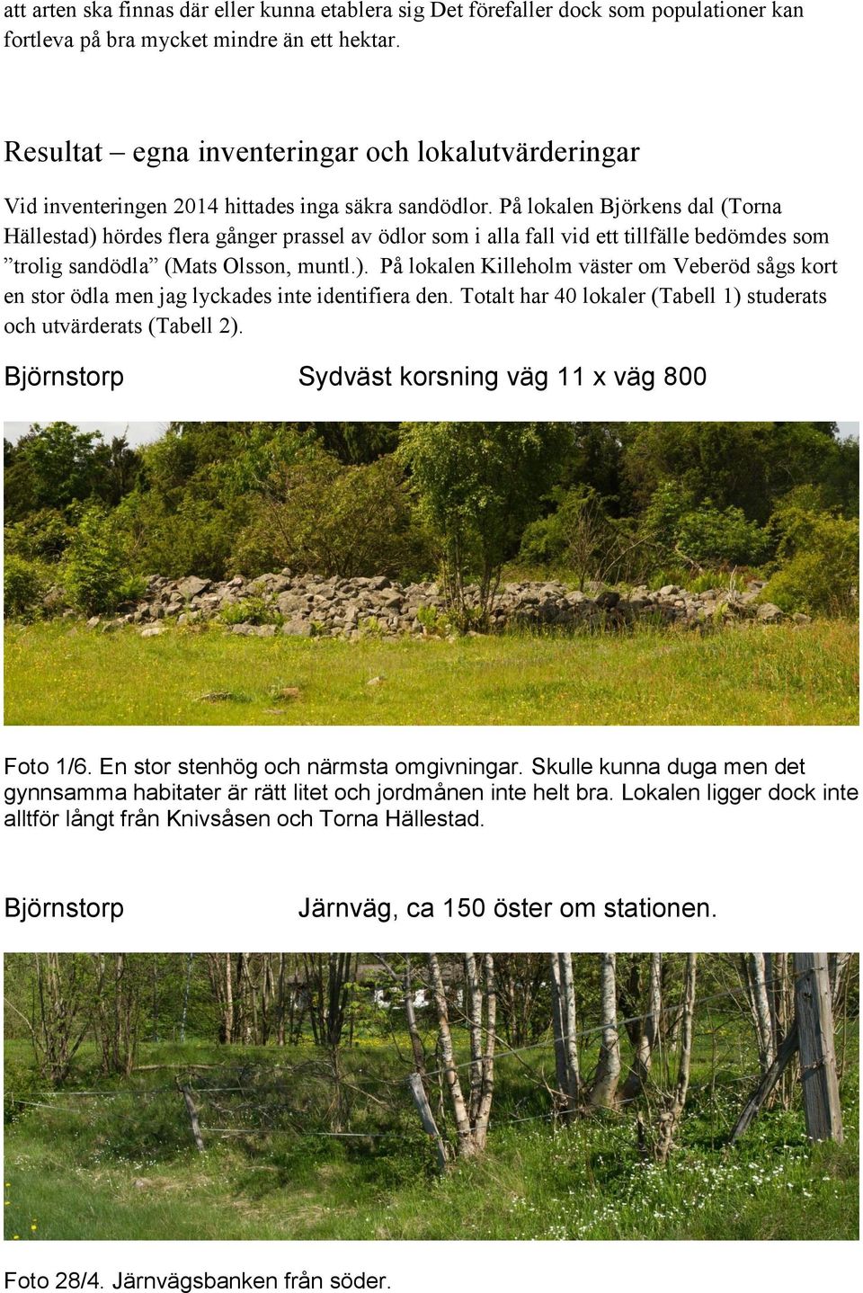 På lokalen Björkens dal (Torna Hällestad) hördes flera gånger prassel av ödlor som i alla fall vid ett tillfälle bedömdes som trolig sandödla (Mats Olsson, muntl.). På lokalen Killeholm väster om Veberöd sågs kort en stor ödla men jag lyckades inte identifiera den.