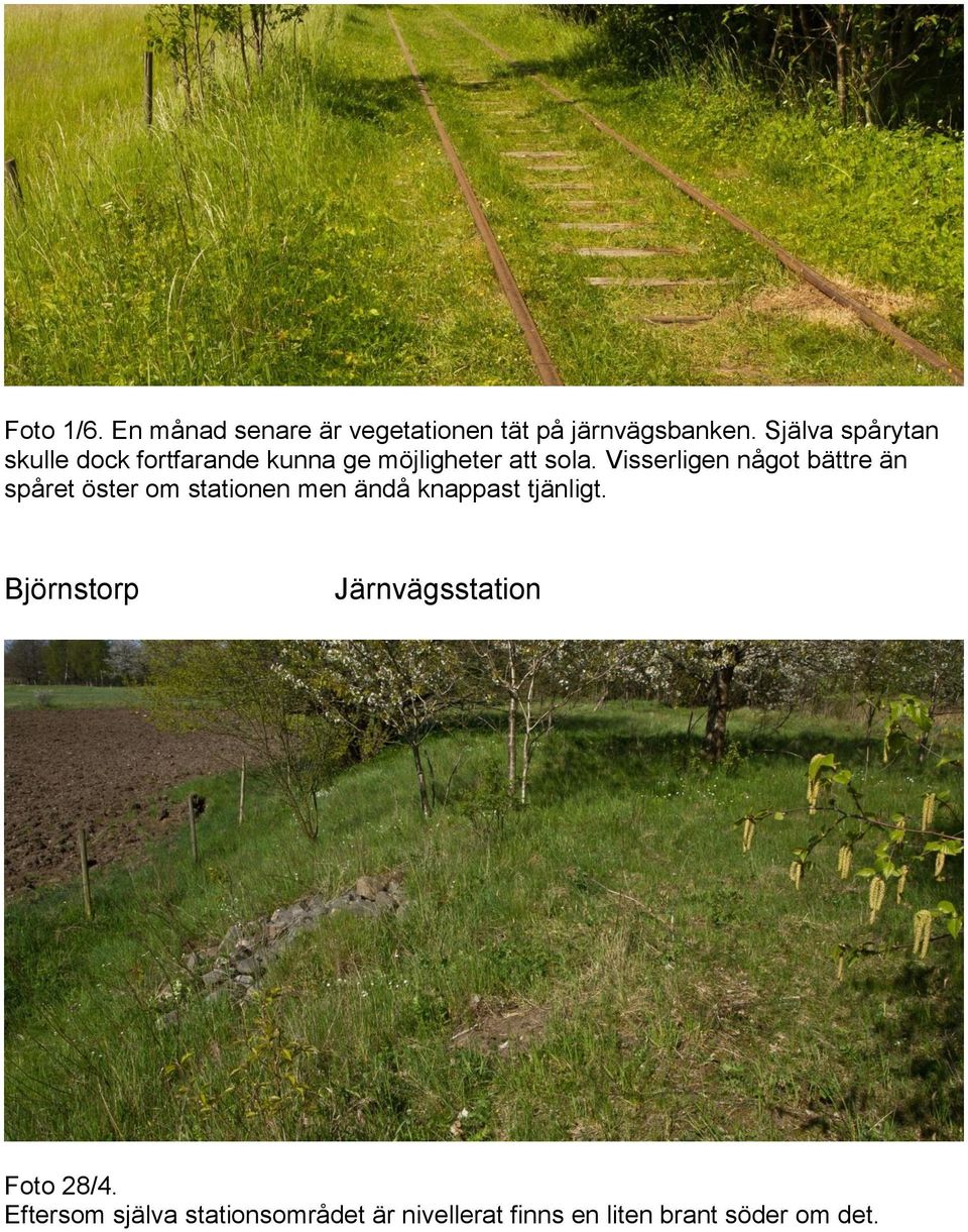 Visserligen något bättre än spåret öster om stationen men ändå knappast tjänligt.