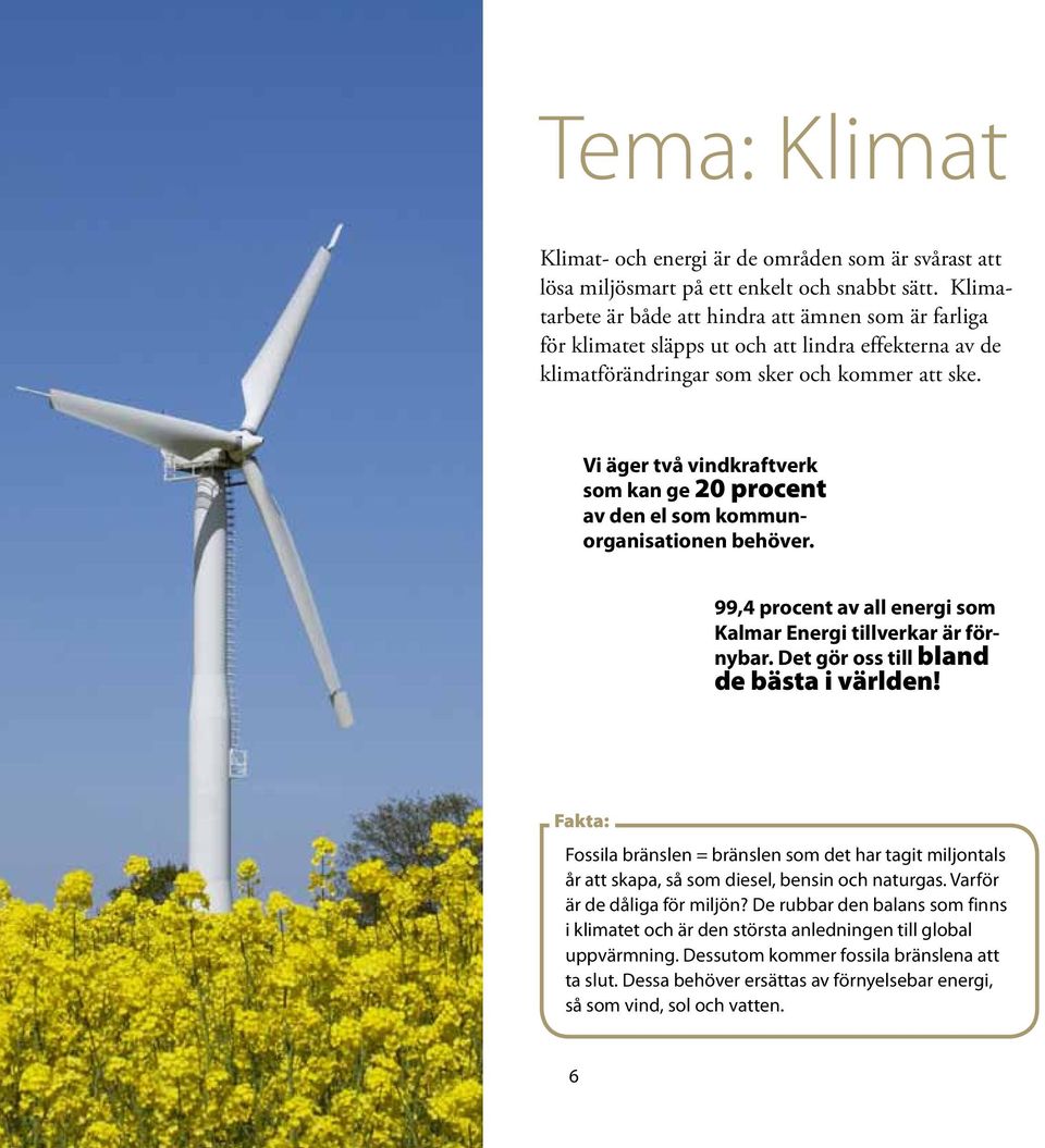 Vi äger två vindkraftverk som kan ge 20 procent av den el som kommunorganisationen behöver. 99,4 procent av all energi som Kalmar Energi tillverkar är förnybar.