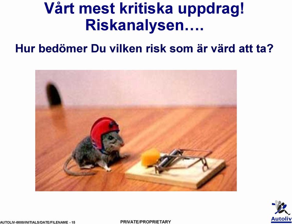 Hur bedömer Du vilken risk som