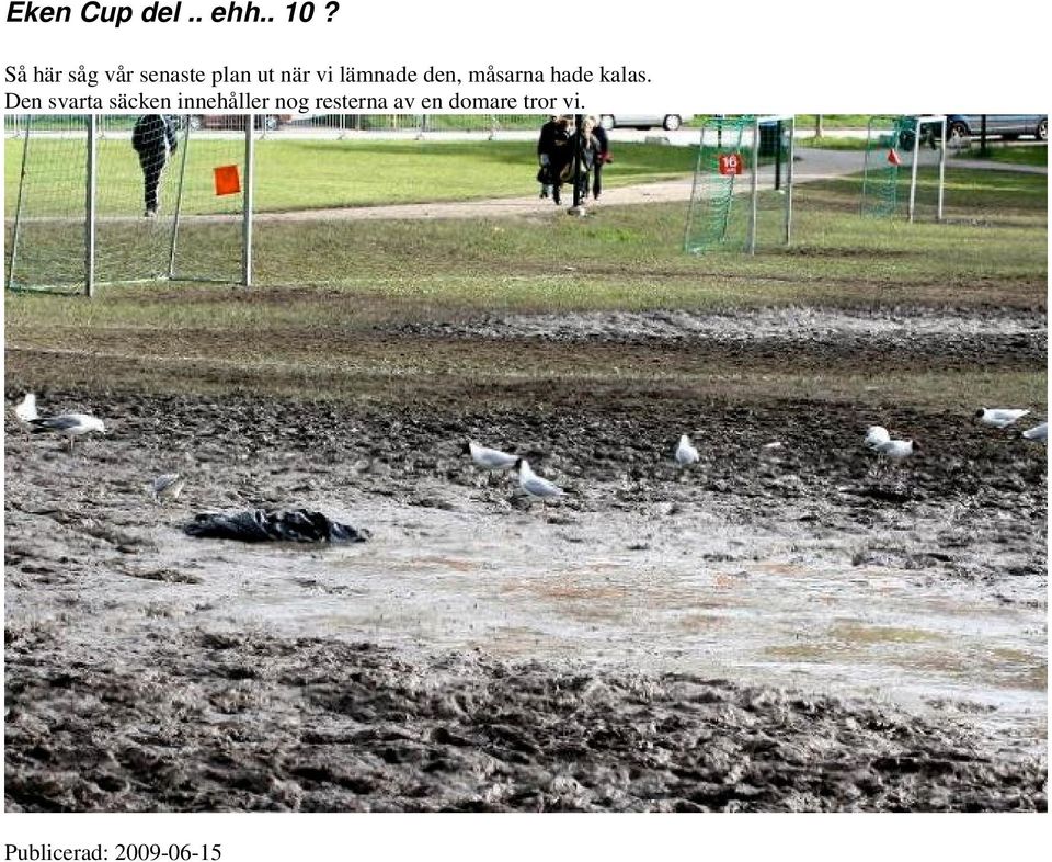 den, måsarna hade kalas.