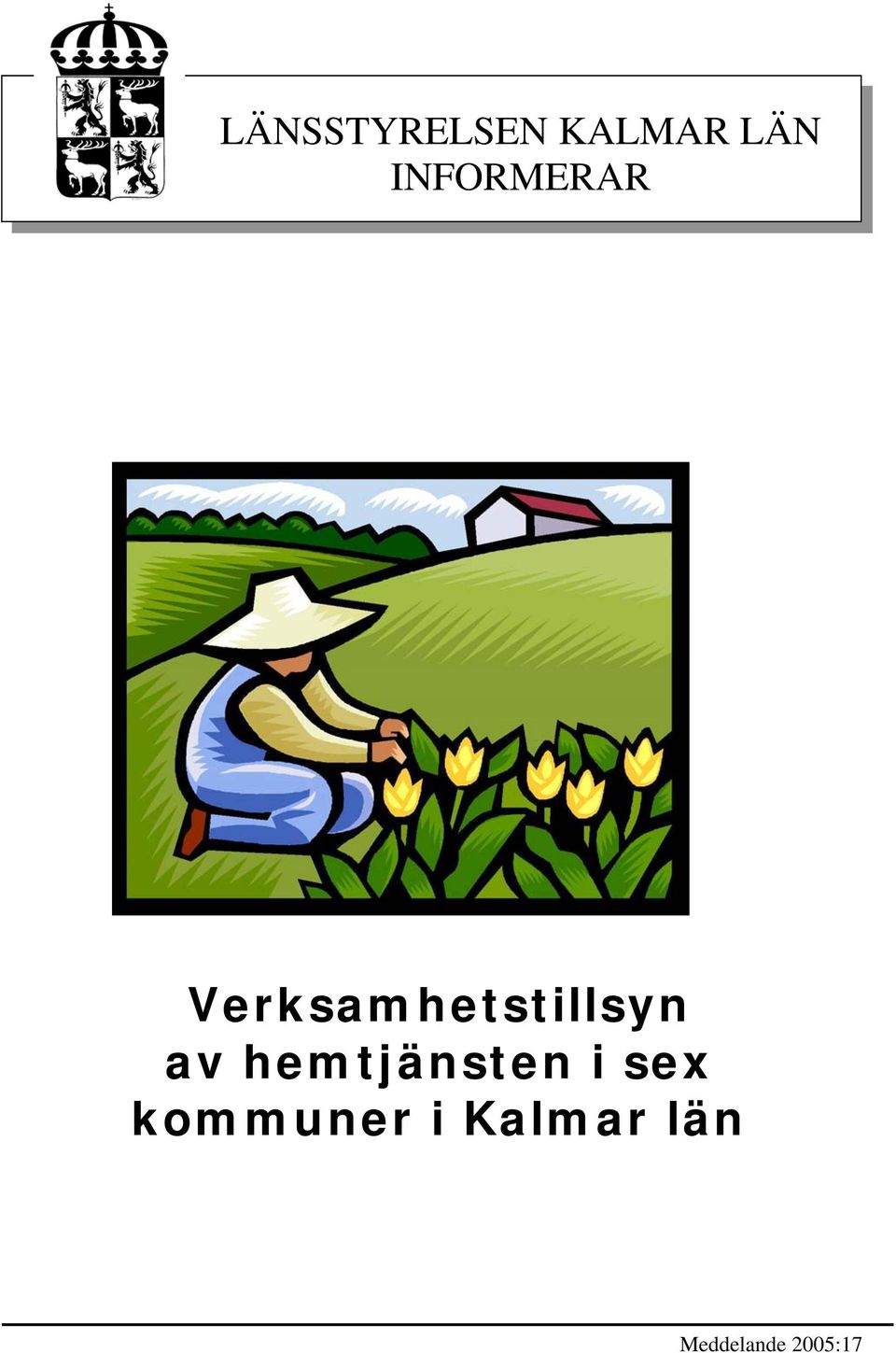 Verksamhetstillsyn av