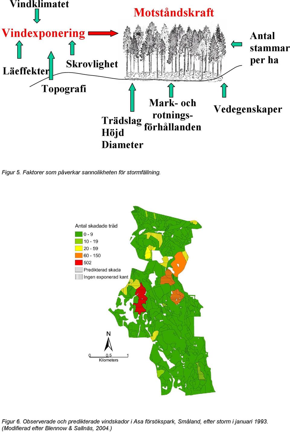 Faktorer som påverkar sannolikheten för stormfällning. Figur 6.