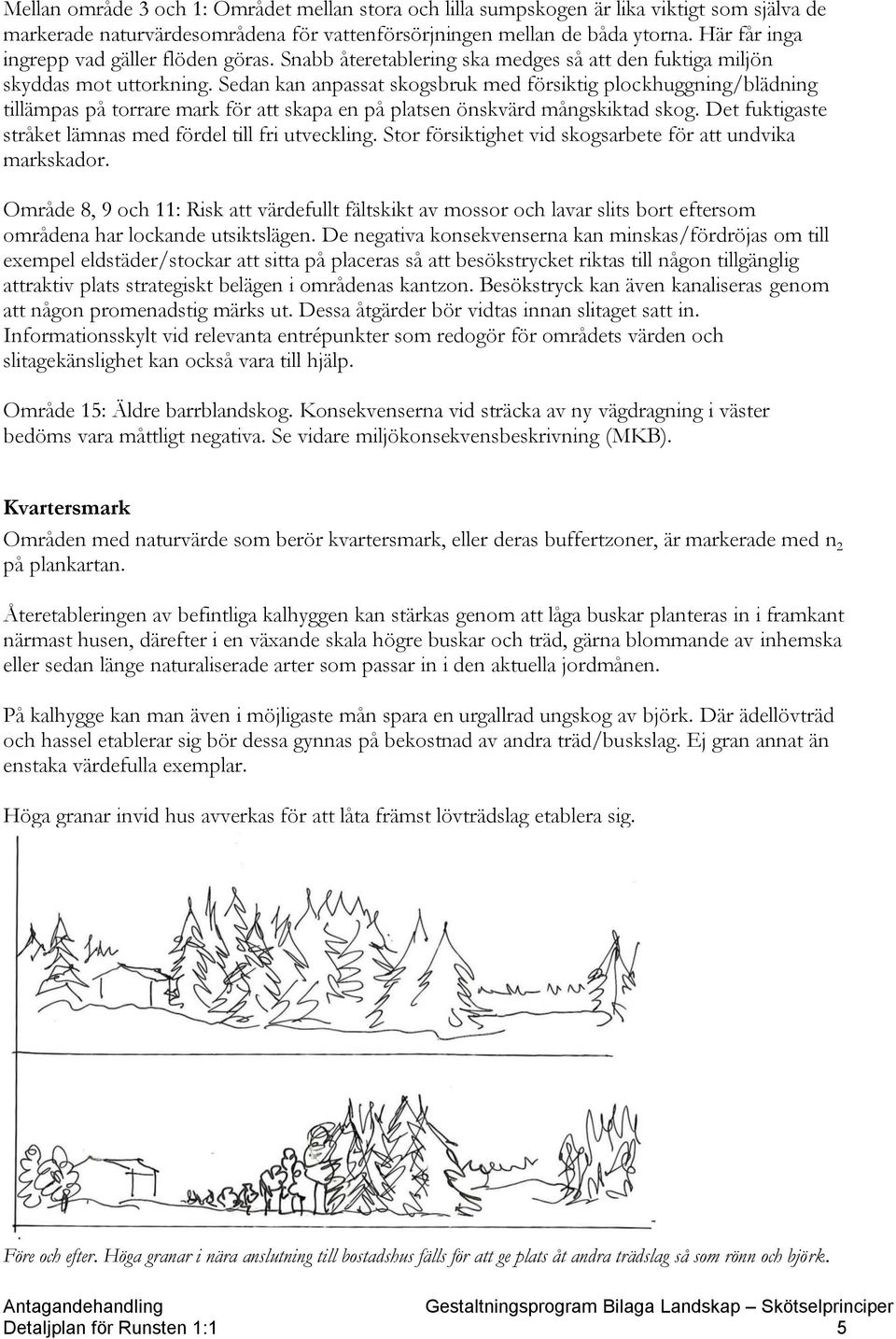 Sedan kan anpassat skogsbruk med försiktig plockhuggning/blädning tillämpas på torrare mark för att skapa en på platsen önskvärd mångskiktad skog.