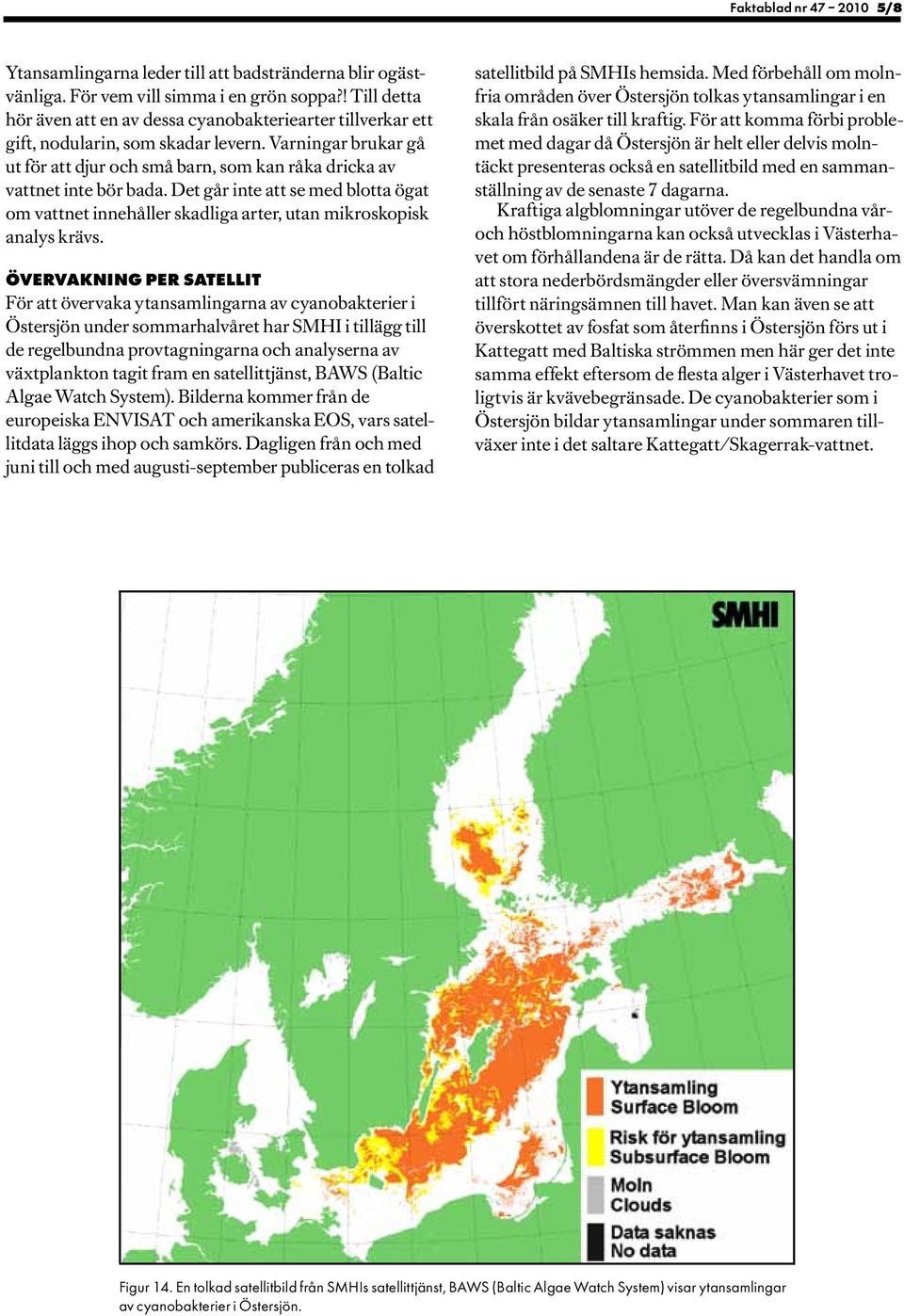 Varningar brukar gå ut för att djur och små barn, som kan råka dricka av vattnet inte bör bada.