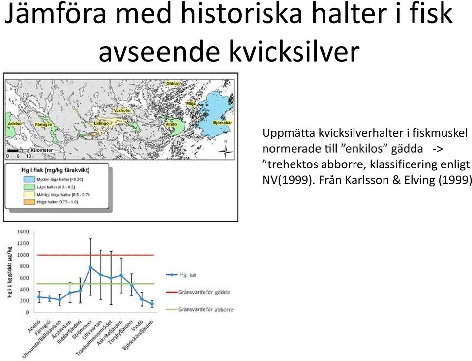 kvicksilverhalter i fiskmuskel - trehektos