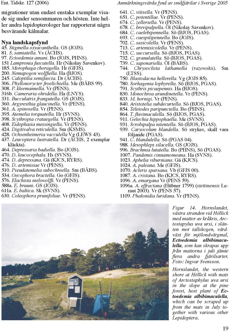 Bo (JOJS, PHNS). 151 Lampronia fuscatella. Hr (Nikolay Savenkov). 185. Morophaga choragella. Hr (GFJS). 200. Nemapogon wolffiella. Ha (BJOS). 245. Caloptilia semifascia. Dr (ÅCHS). 306.