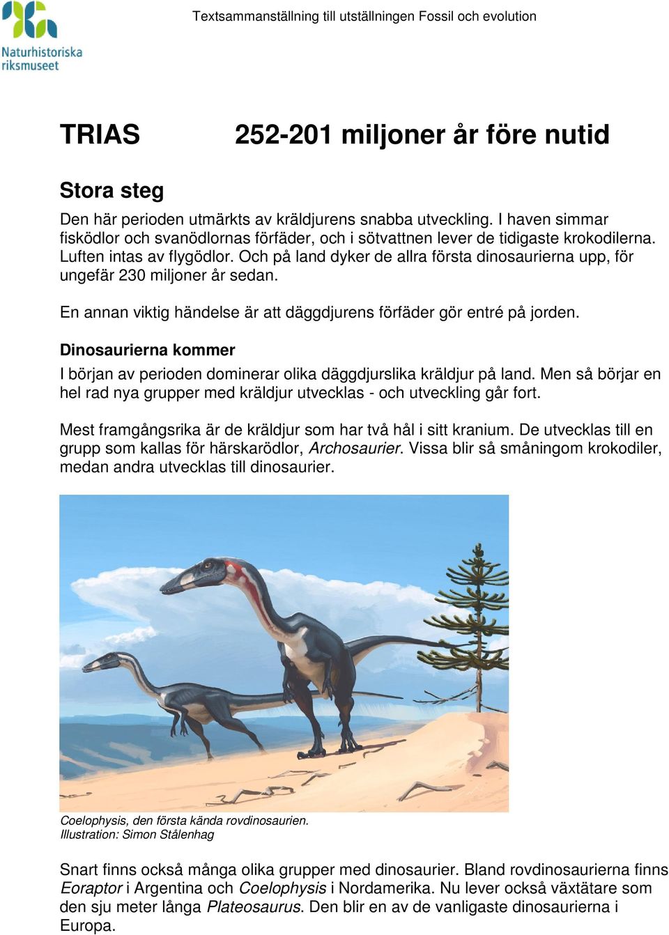 Och på land dyker de allra första dinosaurierna upp, för ungefär 230 miljoner år sedan. En annan viktig händelse är att däggdjurens förfäder gör entré på jorden.