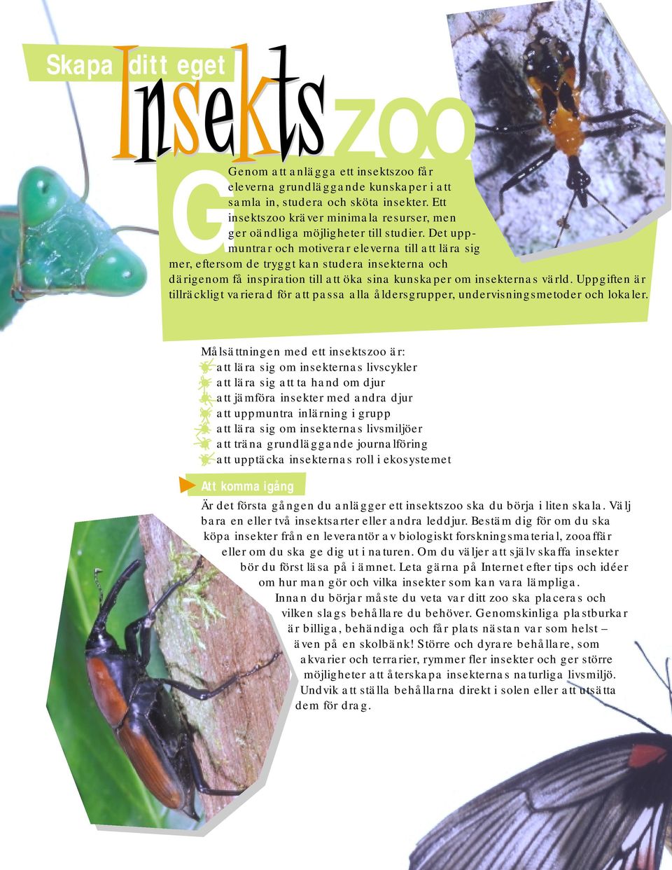 Det uppmuntrar och motiverar eleverna till att lära sig mer, eftersom de tryggt kan studera insekterna och därigenom få inspiration till att öka sina kunskaper om insekternas värld.