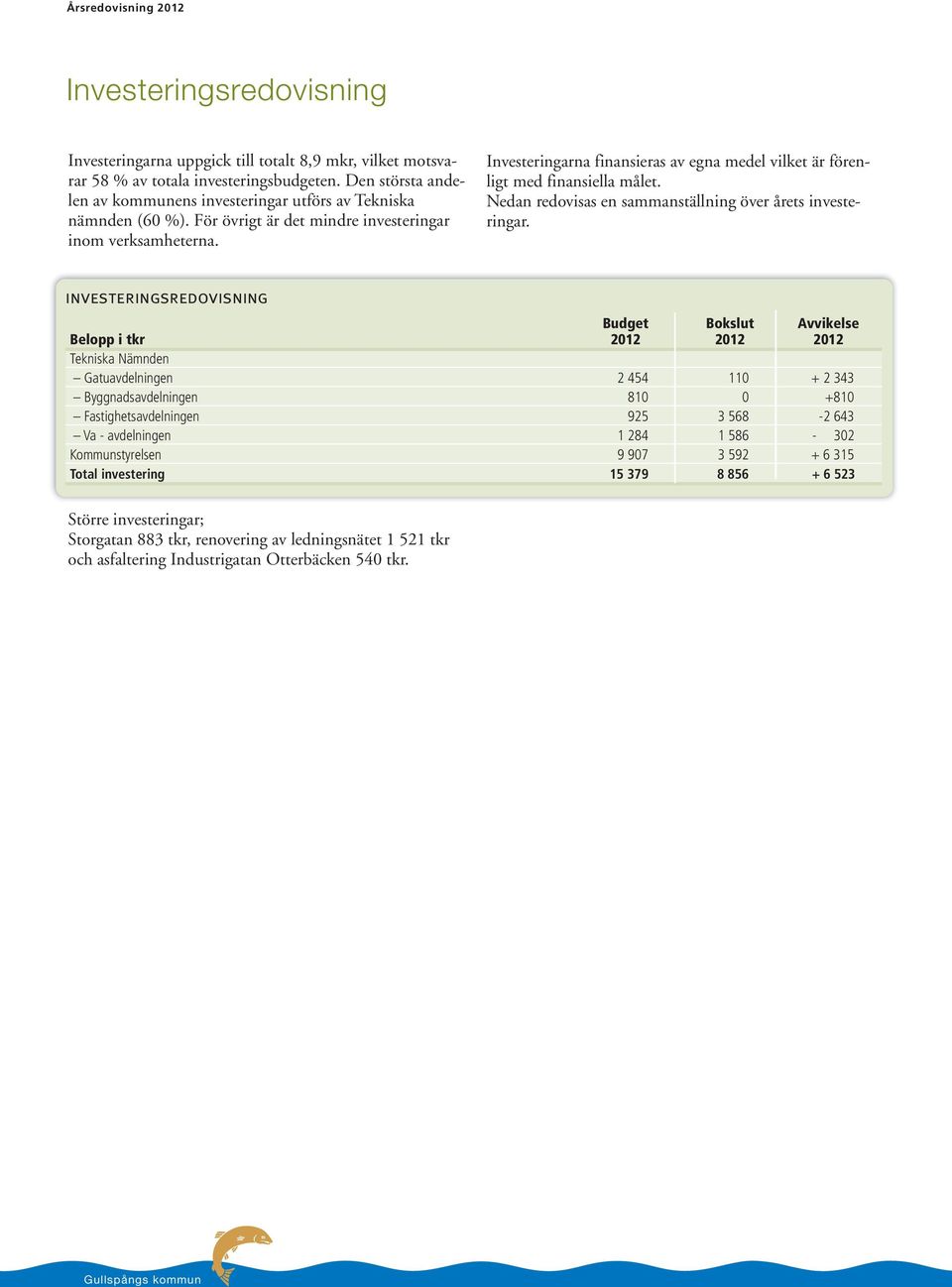 Investeringarna finansieras av egna medel vilket är förenligt med finansiella målet. Nedan redovisas en sammanställning över årets investeringar.