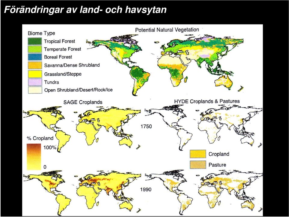 Professor, Instutitionen för