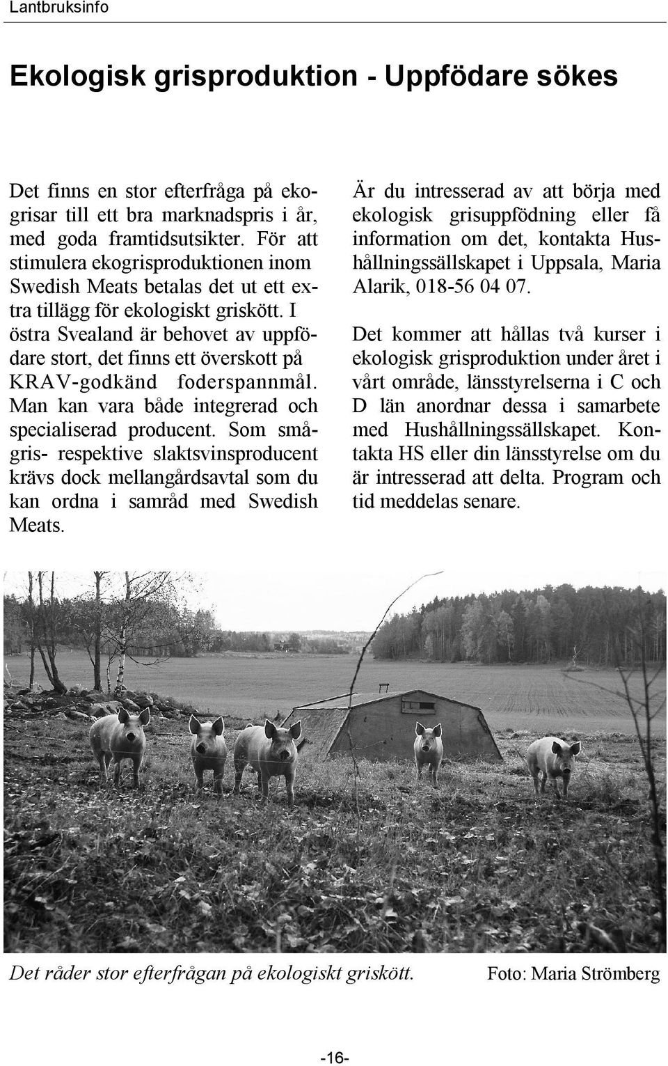 I östra Svealand är behovet av uppfödare stort, det finns ett överskott på KRAV-godkänd foderspannmål. Man kan vara både integrerad och specialiserad producent.