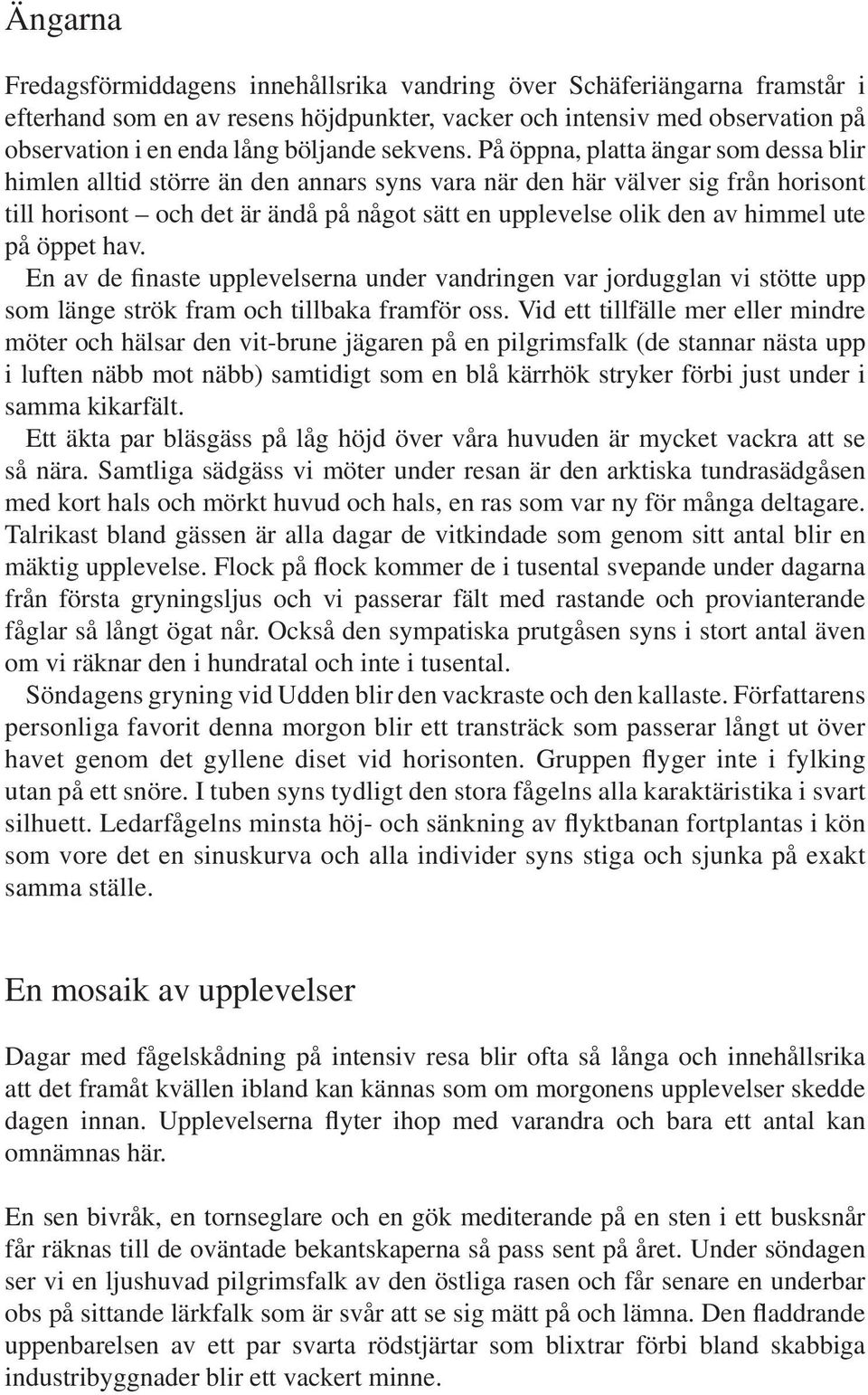 På öppna, platta ängar som dessa blir himlen alltid större än den annars syns vara när den här välver sig från horisont till horisont och det är ändå på något sätt en upplevelse olik den av himmel