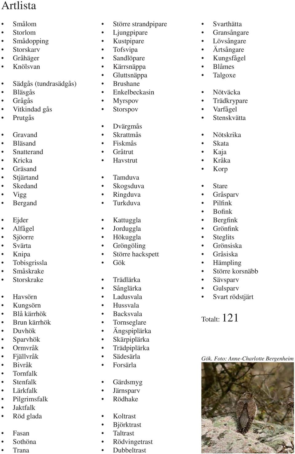 Jaktfalk Röd glada Fasan Sothöna Trana Större strandpipare Ljungpipare Kustpipare Tofsvipa Sandlöpare Kärrsnäppa Gluttsnäppa Brushane Enkelbeckasin Myrspov Storspov Dvärgmås Skrattmås Fiskmås Gråtrut