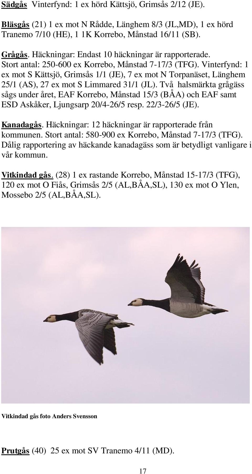 Vinterfynd: 1 ex mot S Kättsjö, Grimsås 1/1 (JE), 7 ex mot N Torpanäset, Länghem 25/1 (AS), 27 ex mot S Limmared 31/1 (JL).