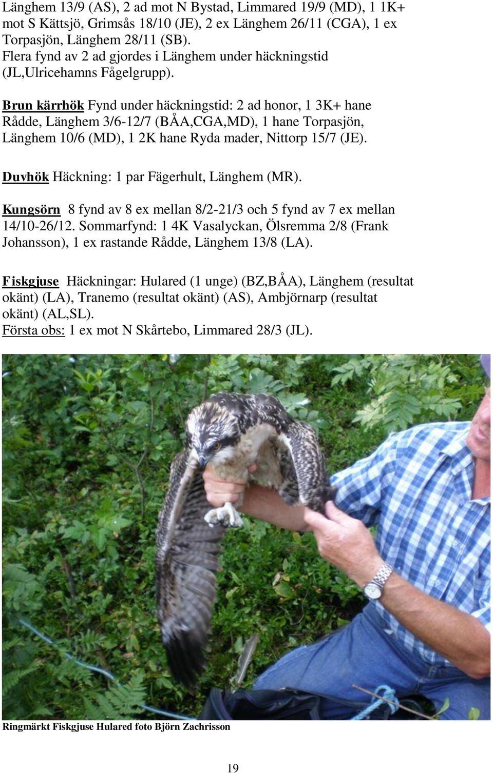 Brun kärrhök Fynd under häckningstid: 2 ad honor, 1 3K+ hane Rådde, Länghem 3/6-12/7 (BÅA,CGA,MD), 1 hane Torpasjön, Länghem 10/6 (MD), 1 2K hane Ryda mader, Nittorp 15/7 (JE).