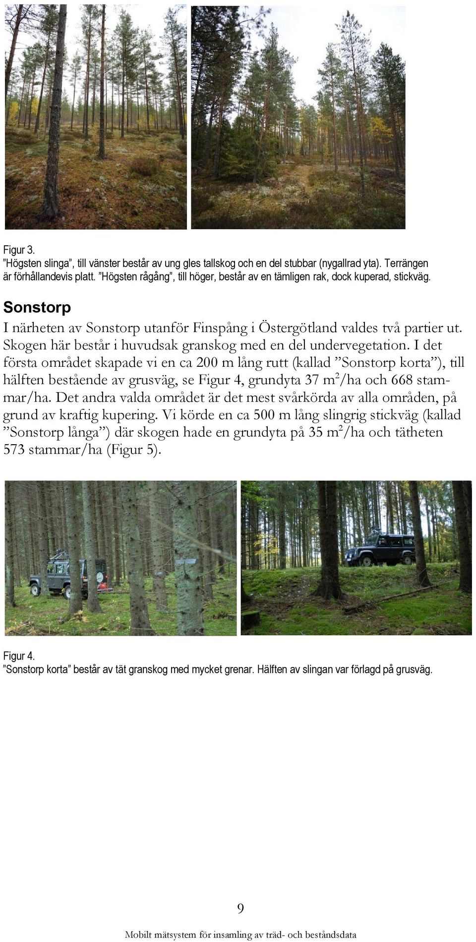 Skogen här består i huvudsak granskog med en del undervegetation.