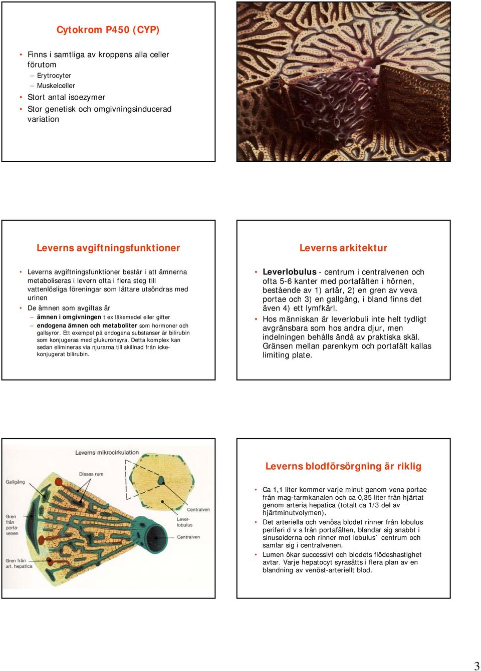 t ex läkemedel eller gifter endogena ämnen och metaboliter som hormoner och gallsyror. Ett exempel på endogena substanser är bilirubin som konjugeras med glukuronsyra.