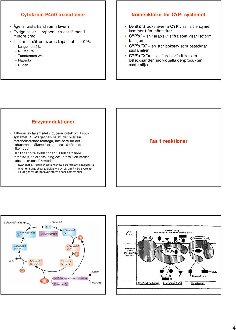 subfamiljen CYP x X x en arabisk siffra som betecknar den individuella genprodukten i subfamiljen Enzyminduktioner Tillförsel av läkemedel inducerar cytokrom P450- systemet (10-20 gånger) så att det