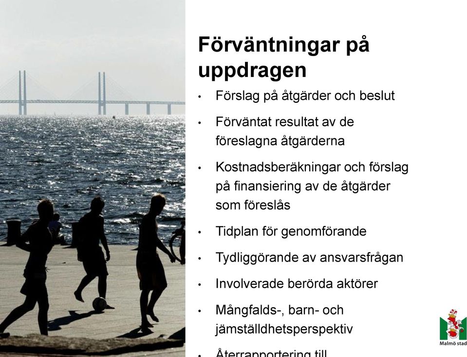 av de åtgärder som föreslås Tidplan för genomförande Tydliggörande av