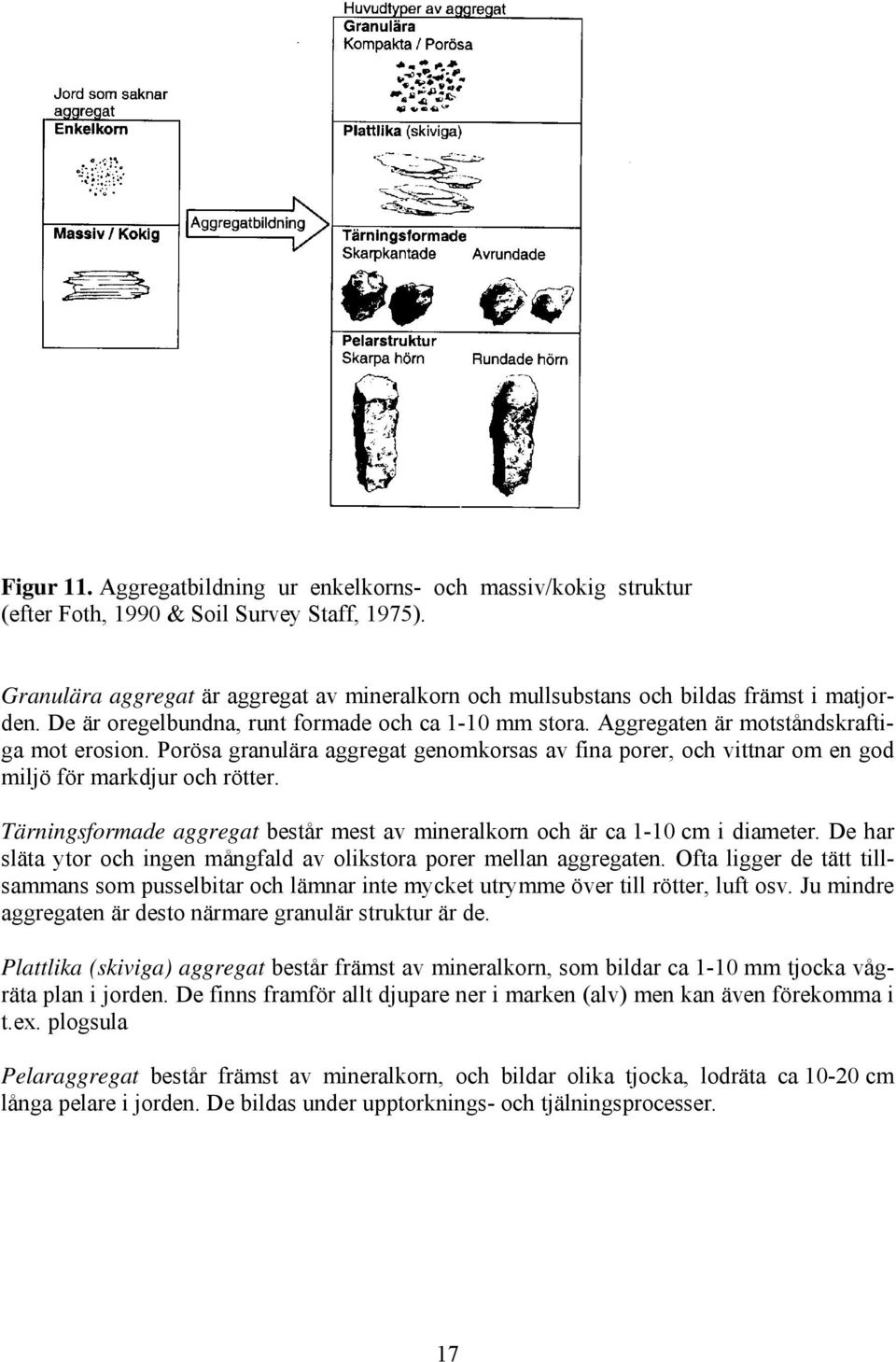 Porösa granulära aggregat genomkorsas av fina porer, och vittnar om en god miljö för markdjur och rötter. Tärningsformade aggregat består mest av mineralkorn och är ca 1-10 cm i diameter.